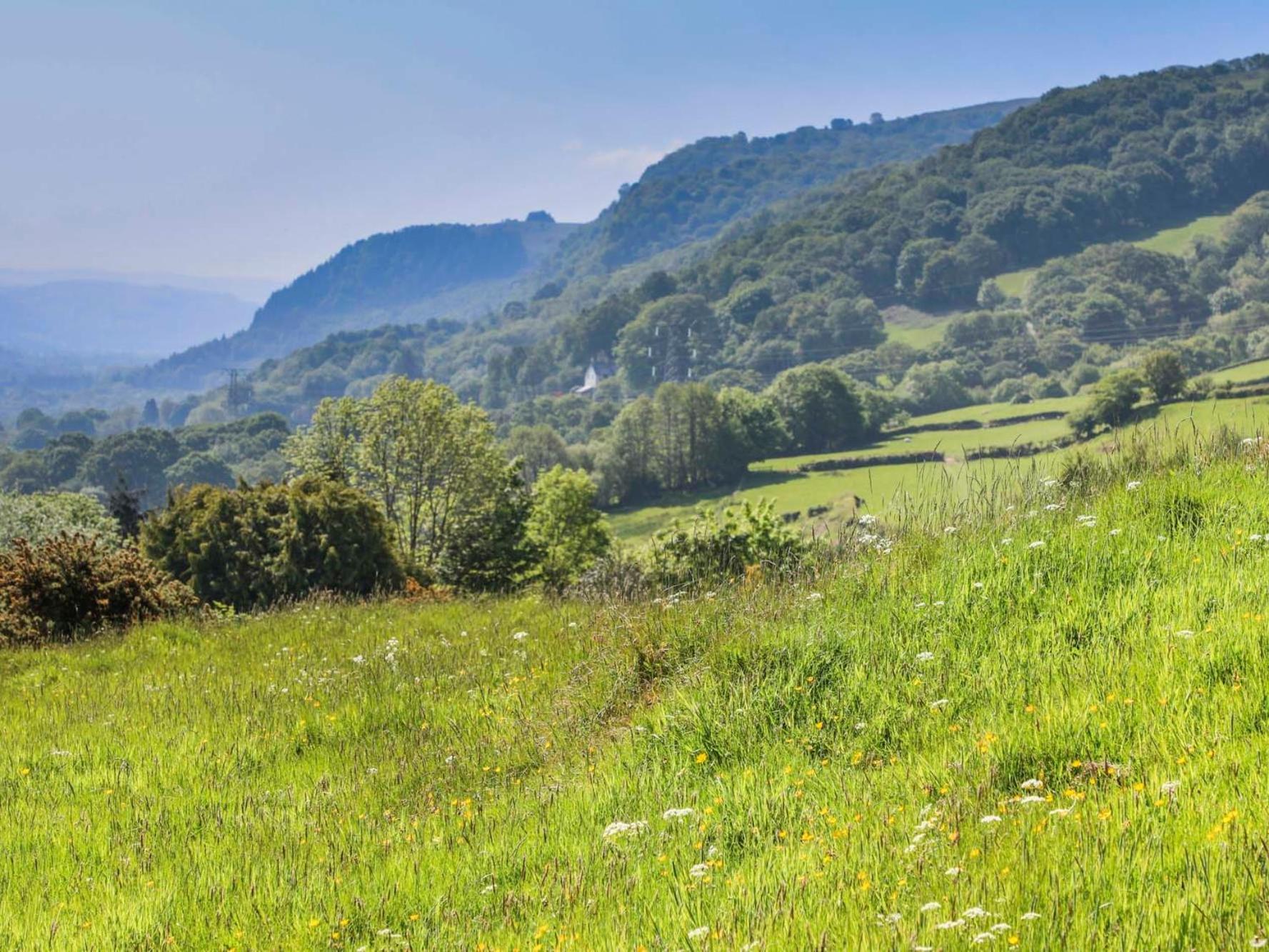 Ty'N Y Cae Villa Llanbedr-y-cennin Kültér fotó